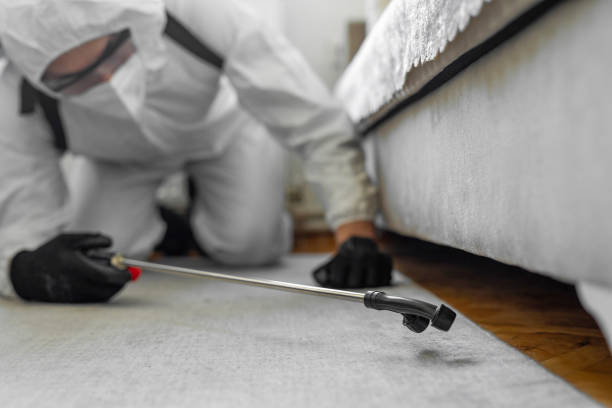 Professional Emergency Pest Control technician working in Plymouth County County, IA